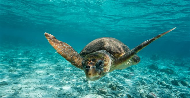 The Ionian Sea - Gastronomy Tours The Ionian sea