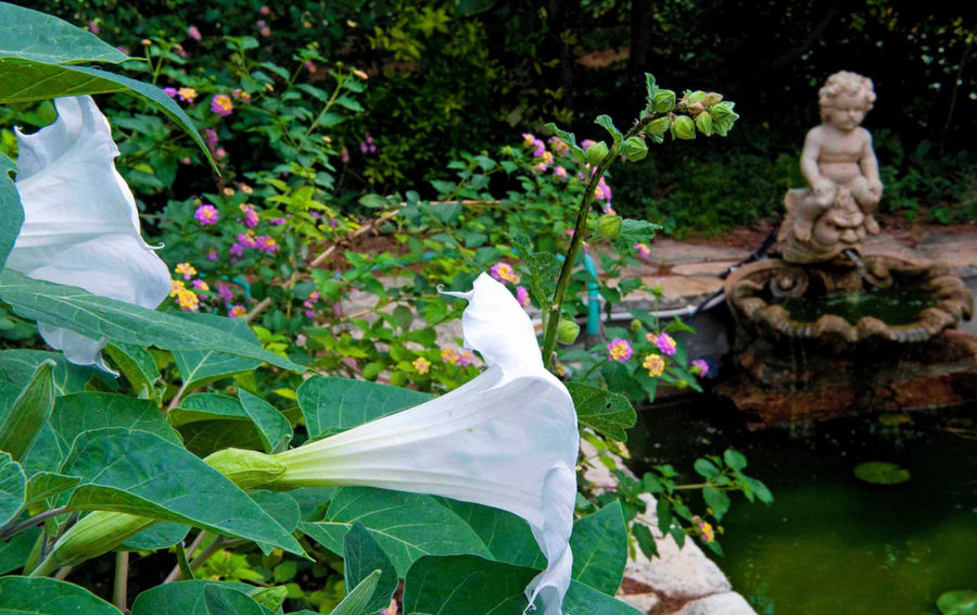 Στιγμιότυπο οθόνης 2025-11-17 181246.png