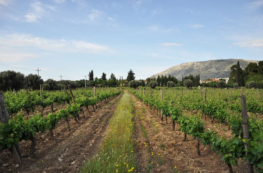 Στιγμιότυπο οθόνης 2025-11-17 181456.png