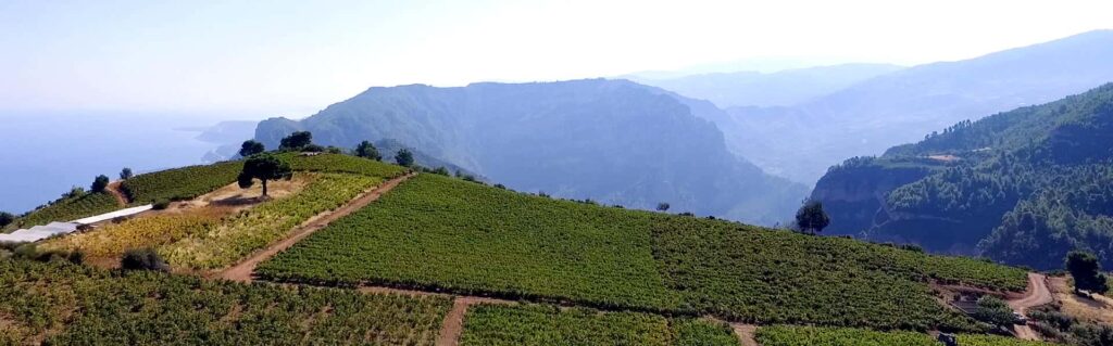 Aegio - Gastronomy Tours Aegio