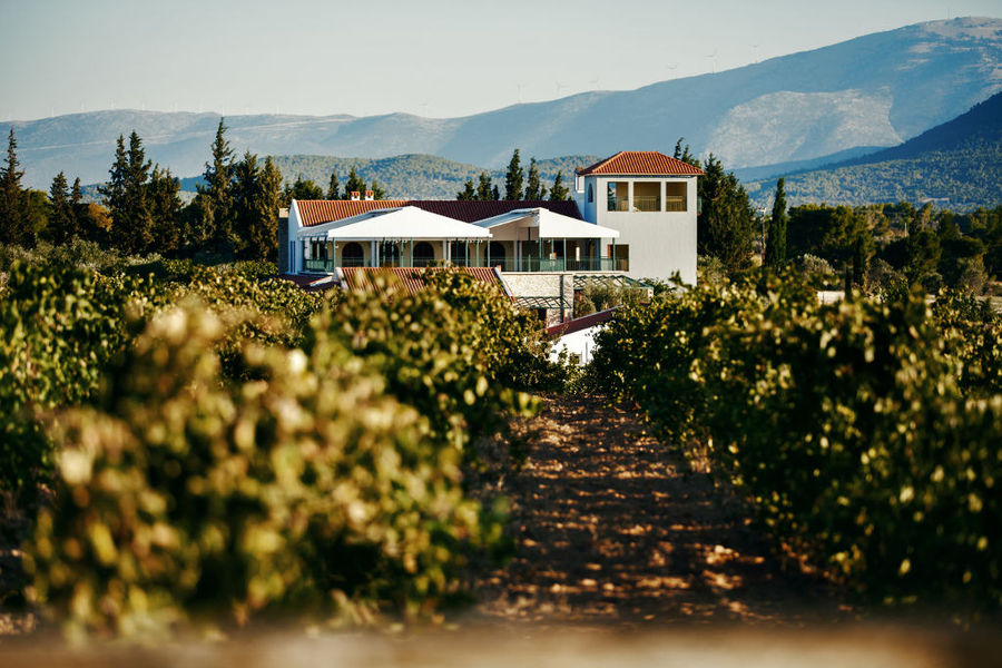 1 chateau kaniaris s.a..jpg