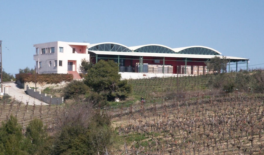 on side of Gaia Wines Nemea building with row of vines in the front