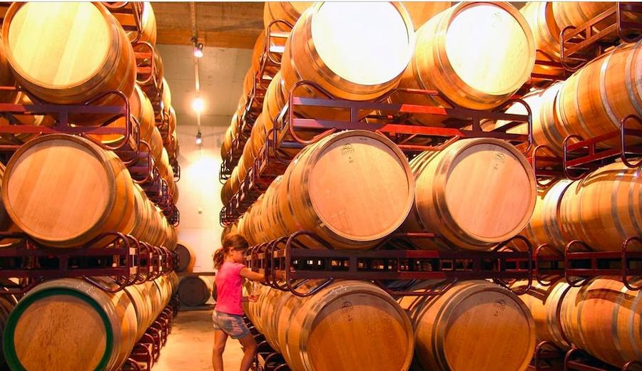 a little girl at Douloufakis Winery cellar with lying wine wood barrels on top of each other