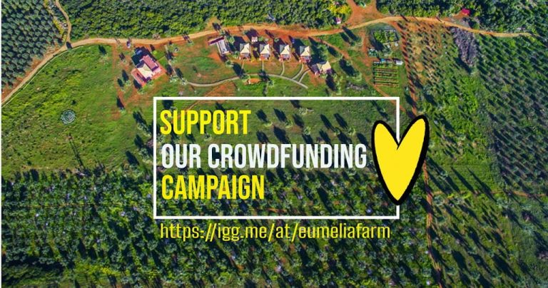 support our effort to go off-grid'