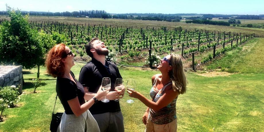 two womens and a man smiling happy and cheers glasses of wine