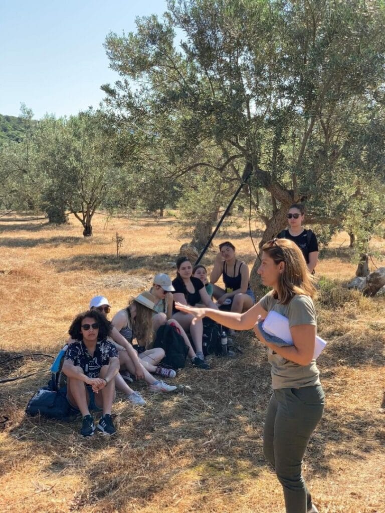 The tour guide guides visitors to the olive grove