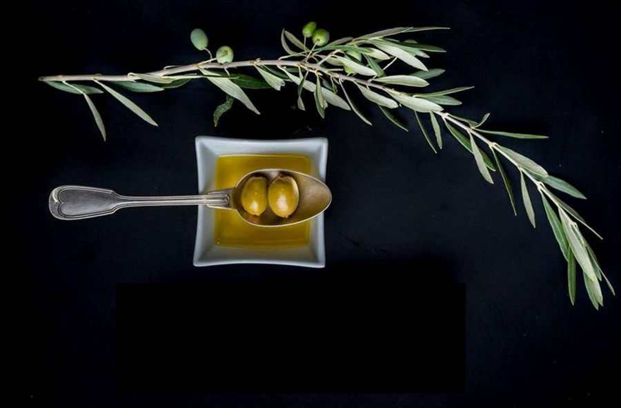 branch olive tree, spoon with green olives and oil on the plate at Blackbird Natural Treasures
