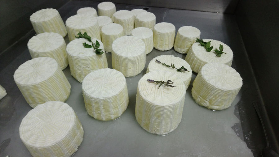 round white cheeses with green herbs on the top at 'Naos' plant