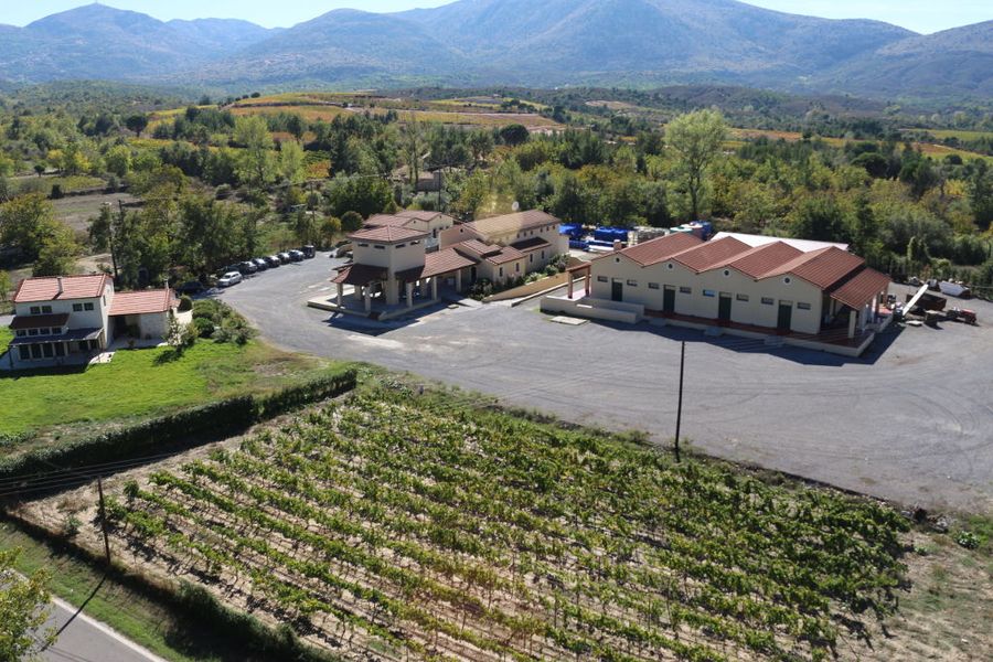 Tselepos Winery from above surrounded by vineyards and trees in the sunshine