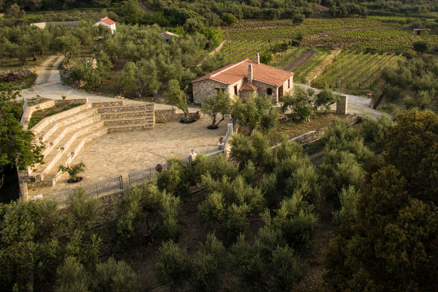 Vakakis Winery from above surrounded by trees, vineyards and a amphitheater