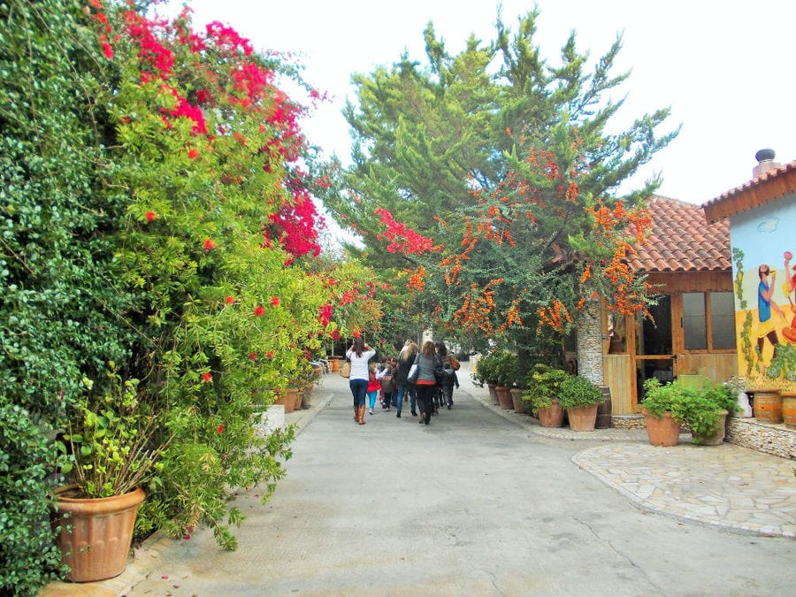 tourists walking on the stone alley at Zahaios winery garden