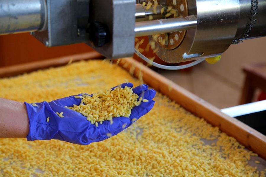 man putting pasta from pasta production machine on the wood frame at 'Dardouma family