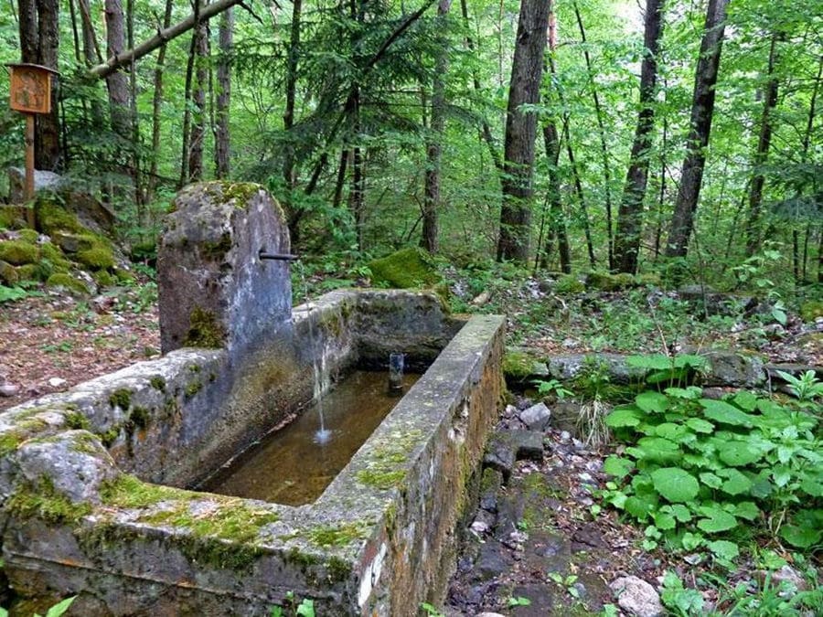 stone pond in the forest around 'Olympus Herbs'