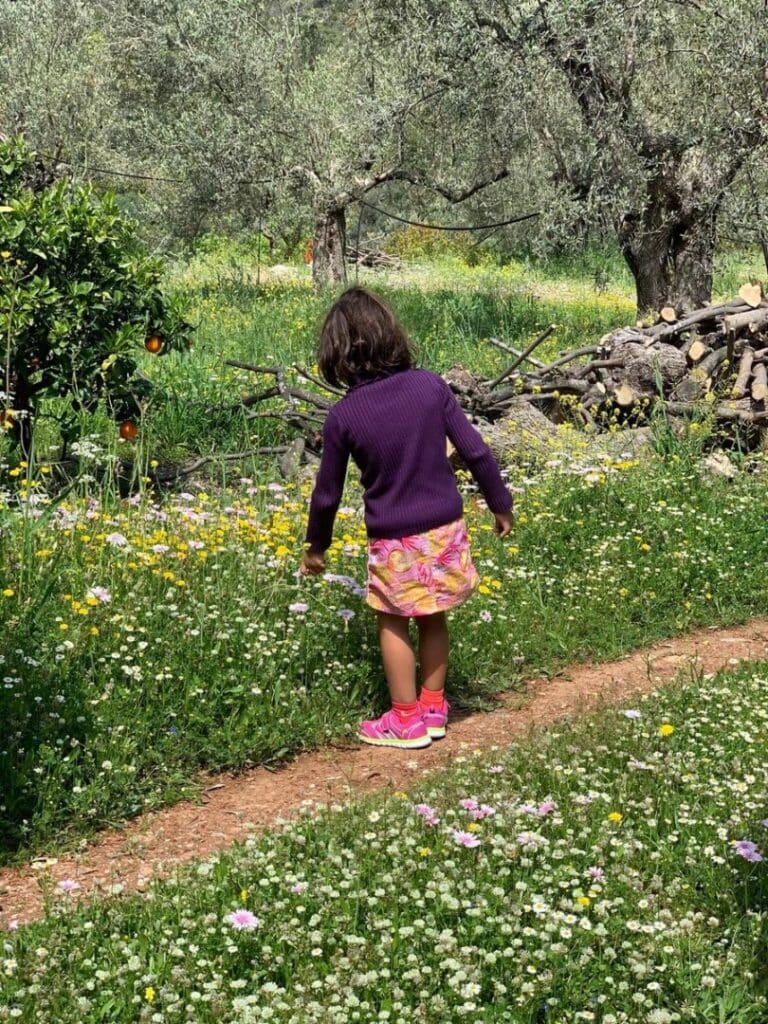 A girl picks flowers at the olive grove