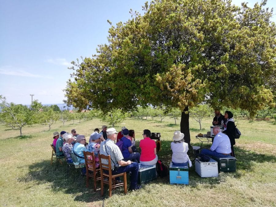 tourists listening to a man giving a tour at 'Gea Olympou' in the shade of the tree