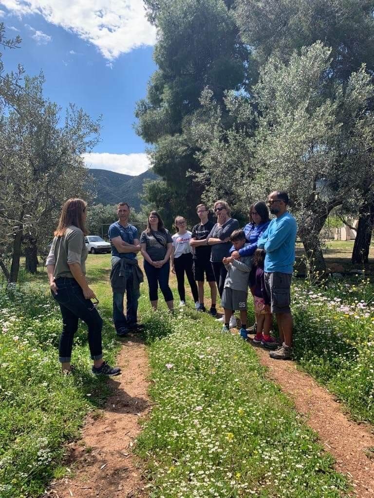 Guided tour of the olive grove at Kotsonis Estate