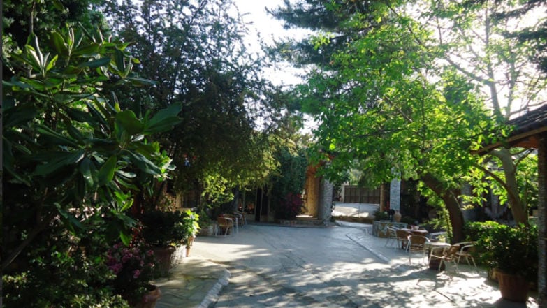 stone alley at Zahaios garden with trees and ceramic pots with plants