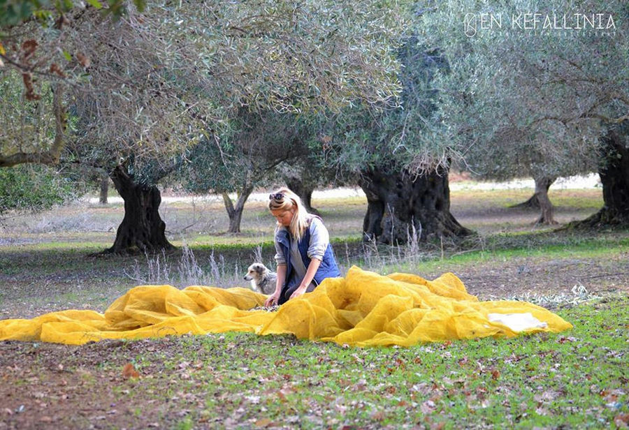 woman and dog on the raffia lying on the ground and olive trees in the background at En Kefallinia Organic Farm Restaurant