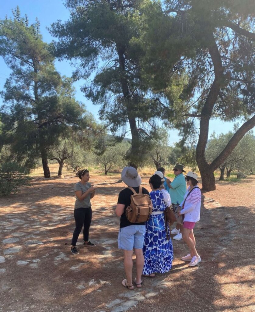 Guided tour of the olive grove at Kotsonis Estate