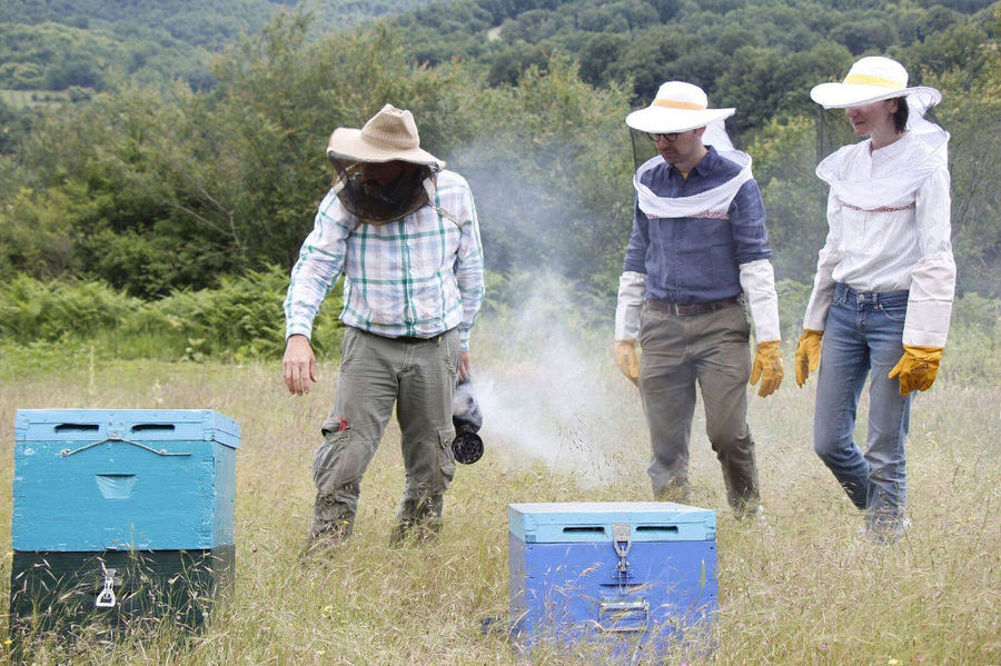 three beekeepers working to hives with bees in nature around 'Gea Olympou'