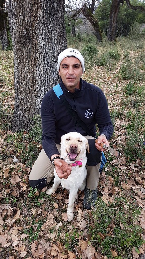 man with a dog in the forest holding a truffle on his hand around the 'Mushroom Museum Meteora' and watching at the camera