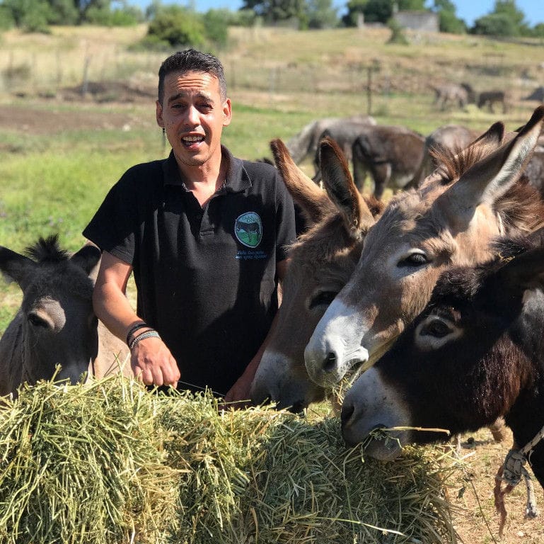 a man smiling at the camera surrounded by donkeys eating hay at 'Gala Onou' farm