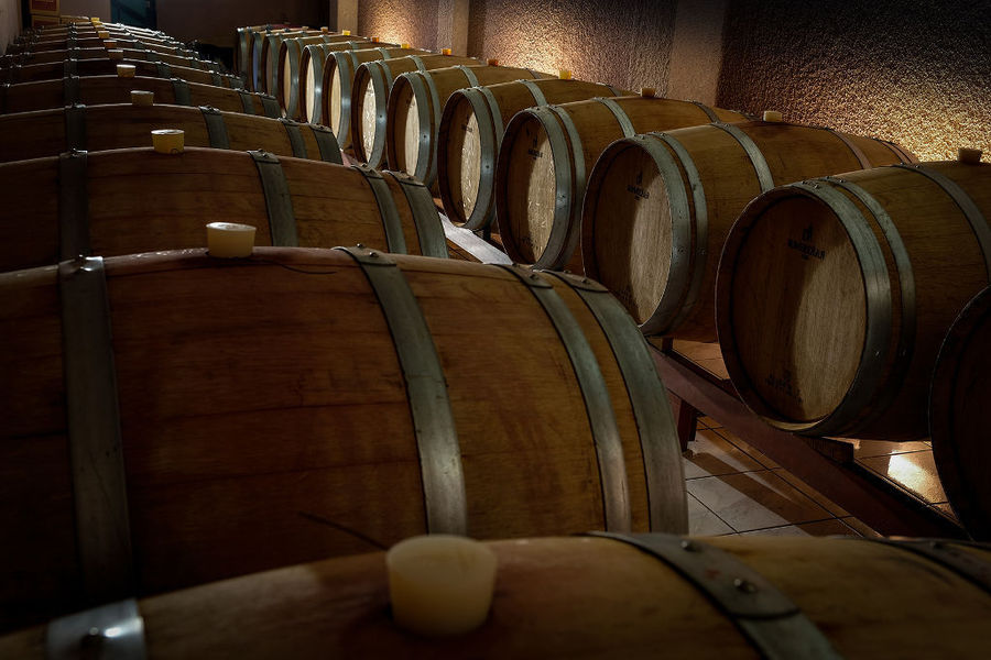 wine wooden barrels in Papantonis Winery cellar