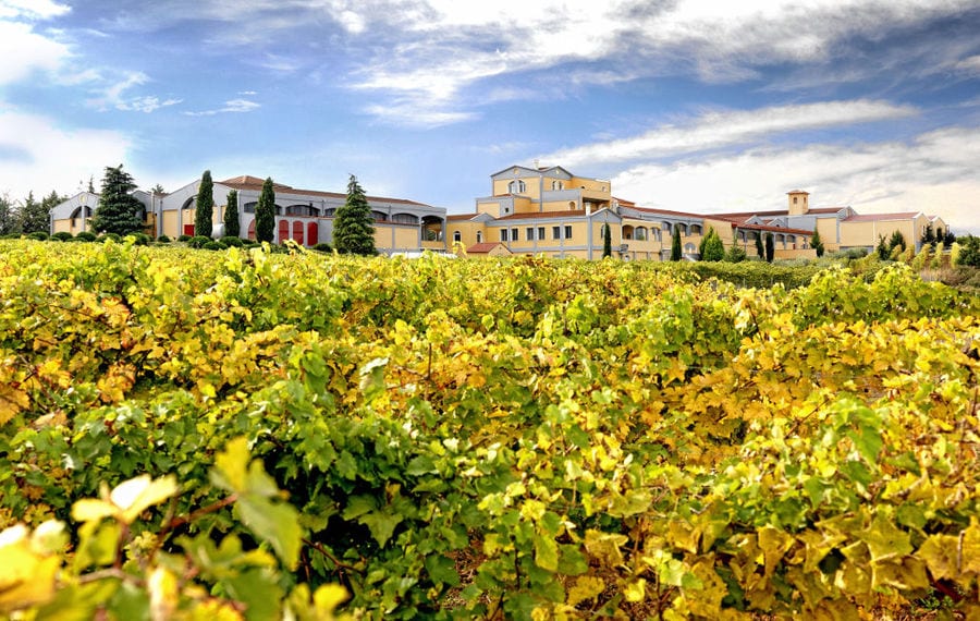 vineyards in the background of the Domaine Costa Lazaridi Drama building