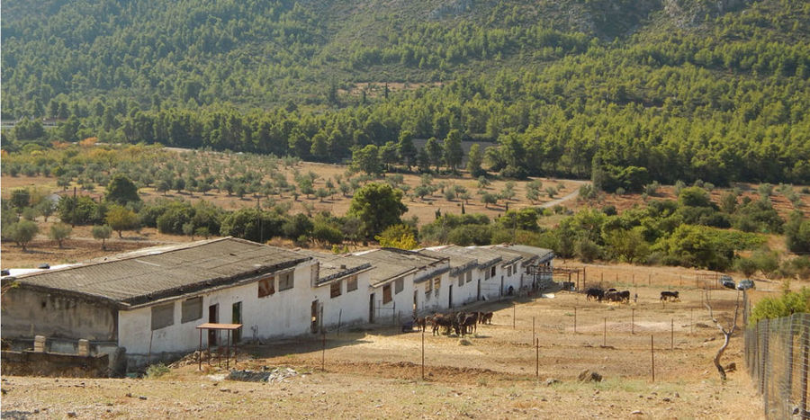 far view of 'Gala Onou' building farm in the background of trees