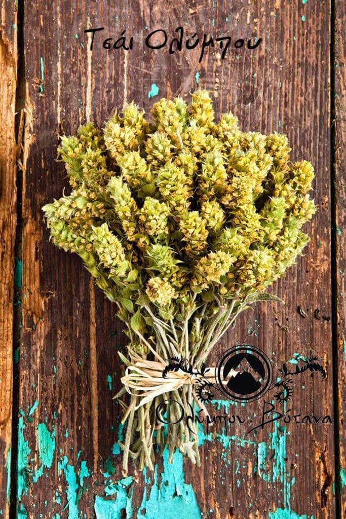 bunche of dry Sideritis also known as mountain tea on the wood table from 'Olympus Herbs' crops