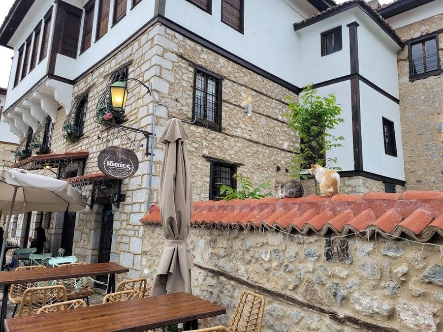 A charming stone café with outdoor wooden tables and chairs. A cat gracefully perches on the tiled roof, adding to the cozy atmosphere.