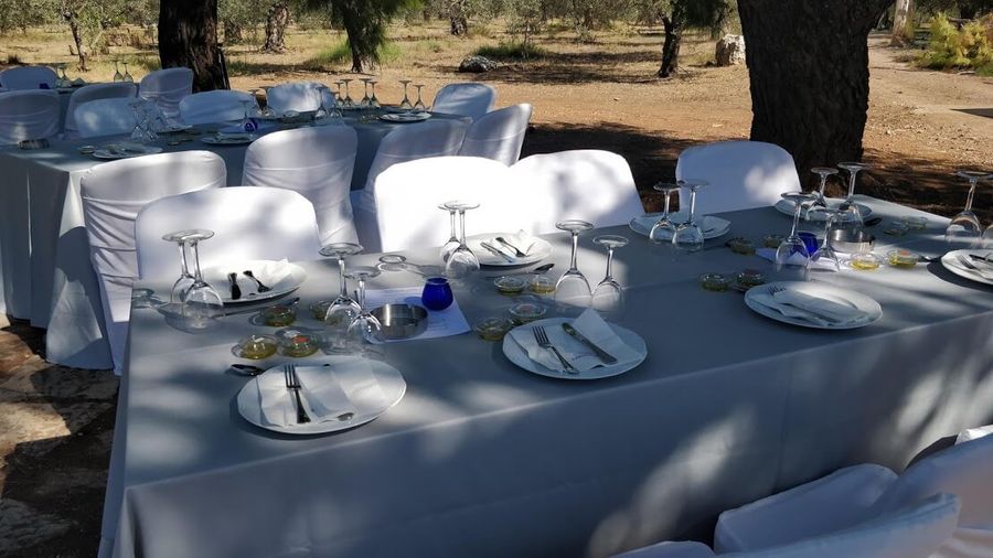 Tables set for olive oil tasting