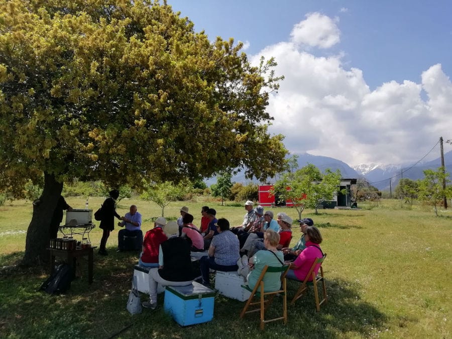 tourists listening to a man giving a tour at 'Gea Olympou' in the shade of the tree