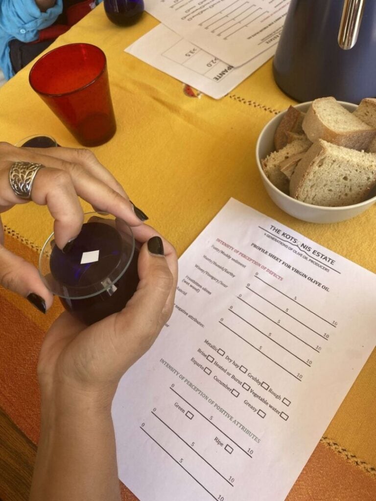 Olive oil tasting and a questionnaire for visitors to complete