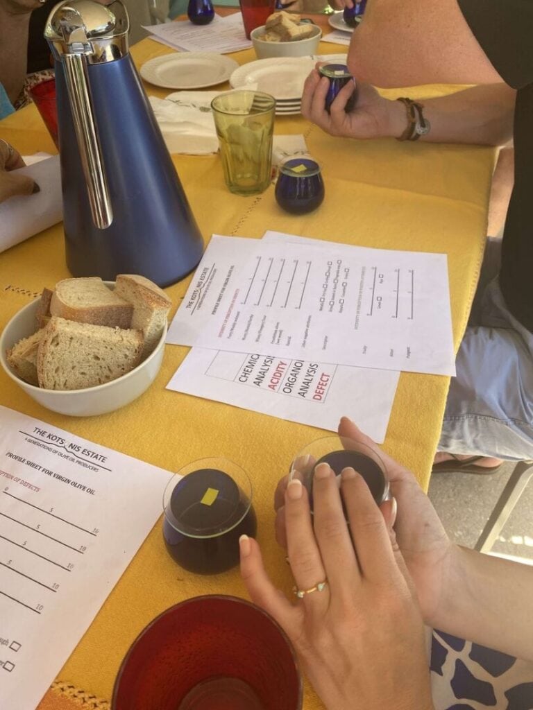 Olive oil tasting and a questionnaire for visitors to complete