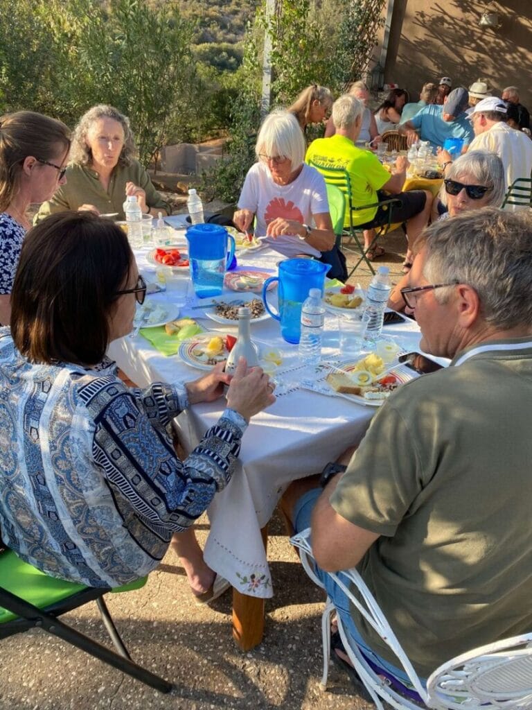 Olive oil tasting with snacks