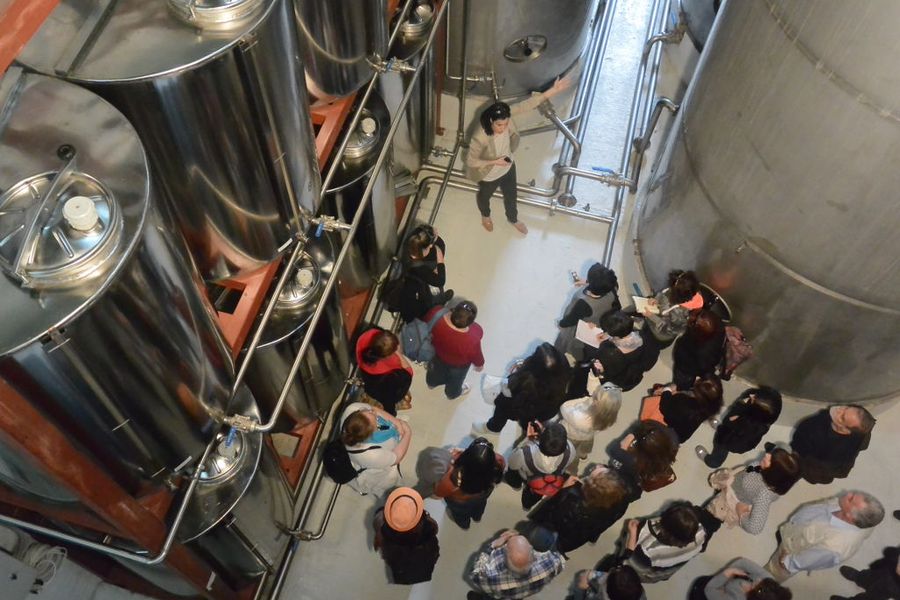 view from above of visitors listening to a guide at 'Vassilakis Estate' olive oil plant