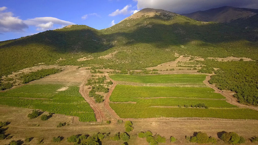 Domaine Costa Lazaridi Drama vineyards from above and mountains