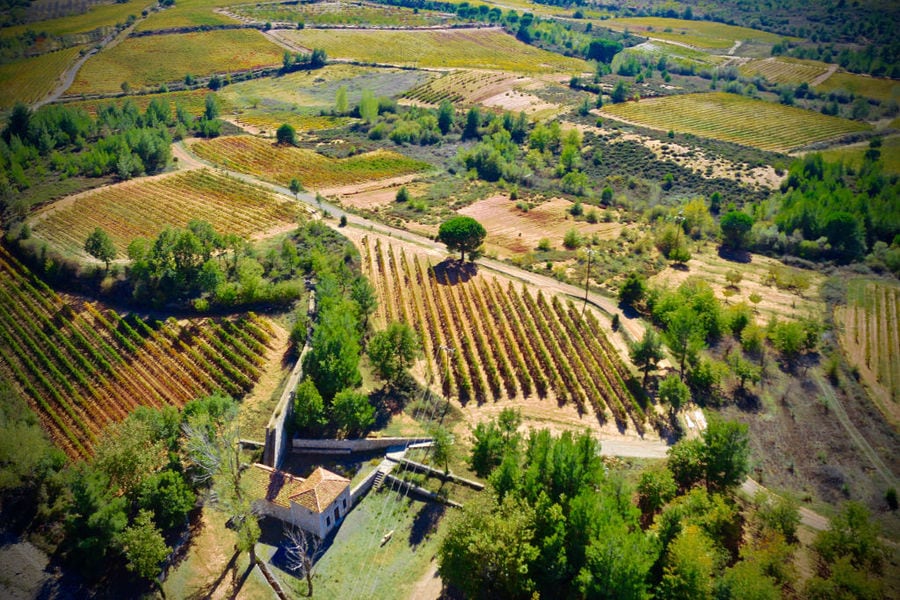 Tselepos Winery vineyards and trees from above in the sunshine