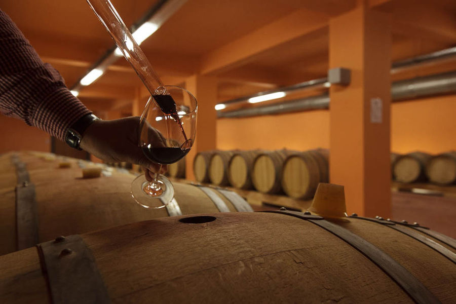 oenologist using sampling probe from wood barrel at 'Domaine Zacharioudakis' cellar