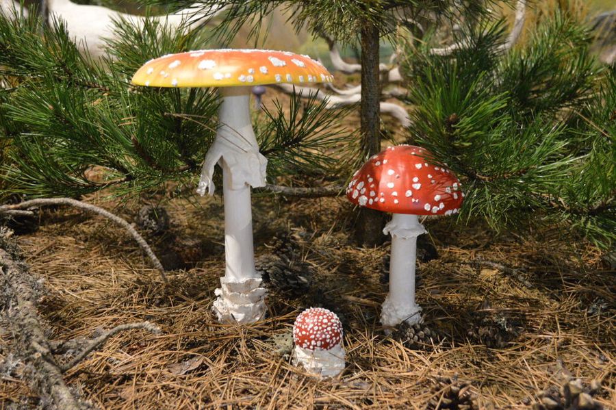 amanita mushrooms models at 'Mushroom Museum Meteora'