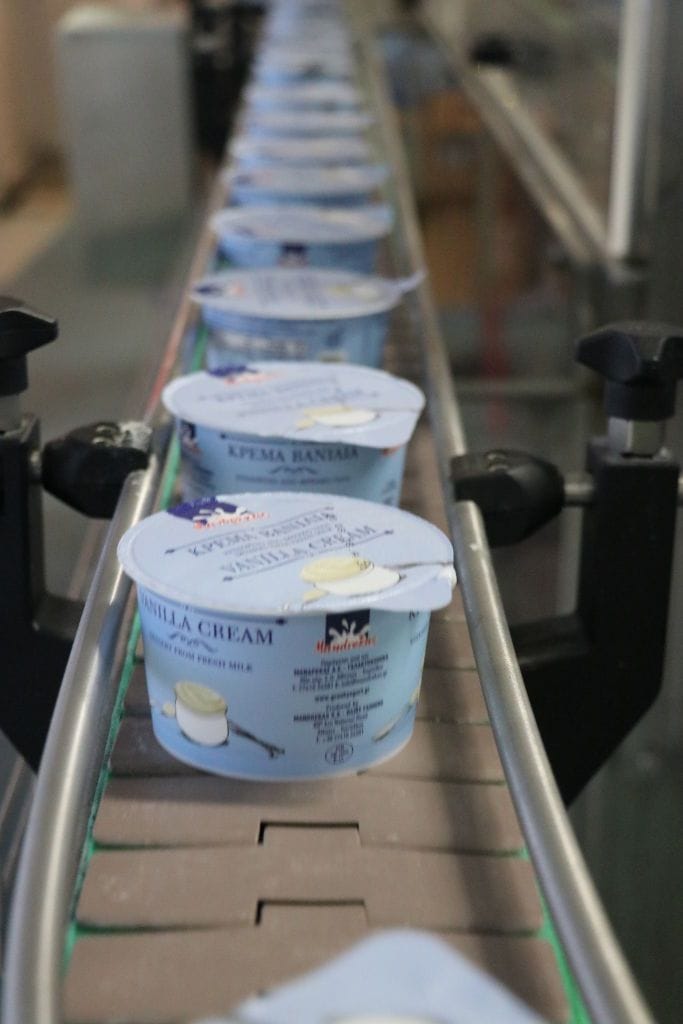 yogurt cups on conveyor belt part of packaging machine at Mandrekas Greek Yogurt manufacture