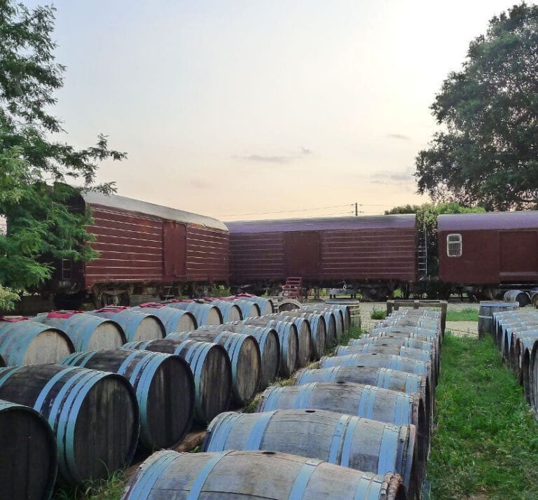 rows of wooden barrels on the ground at ‘Vaimakis Family’ outside that recognized with many awards|