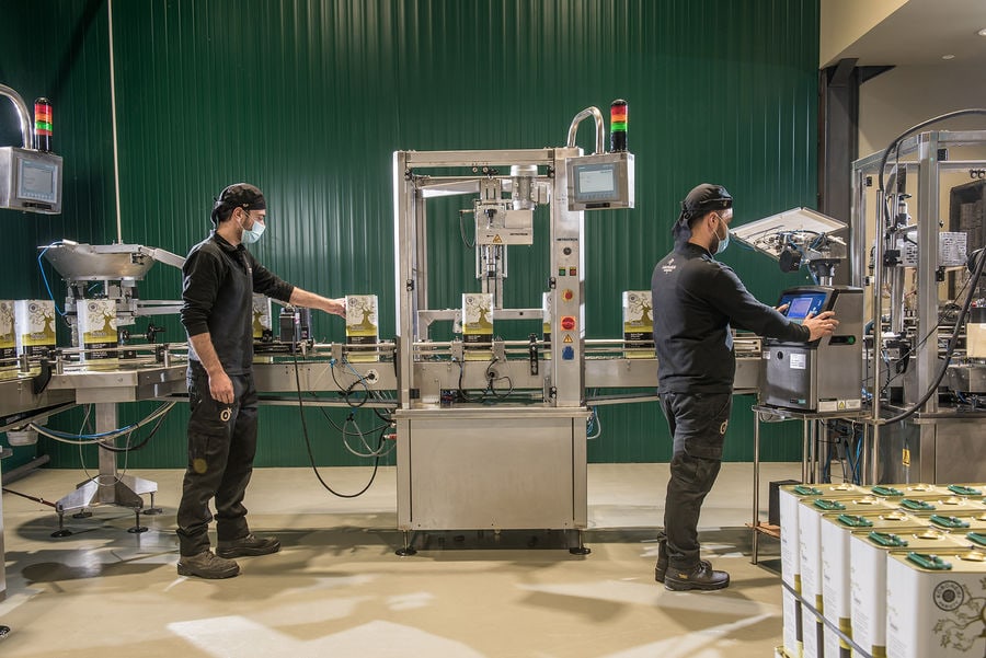 Dedicated and diligent, two men meticulously inspect olive oils and packages at the factory. Ensuring quality and precision every step of the way.