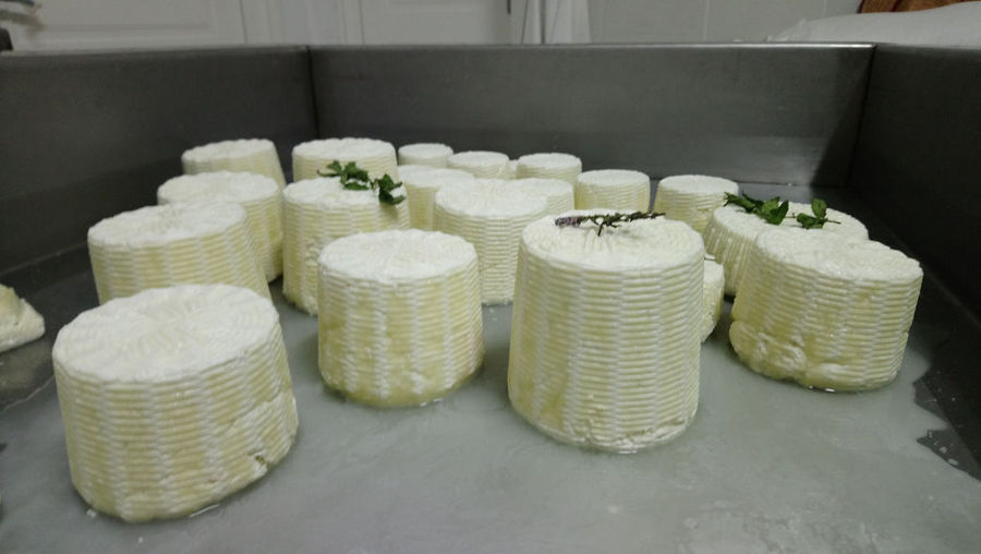 view up close of round white cheeses with green herbs on the top at 'Naos' plant