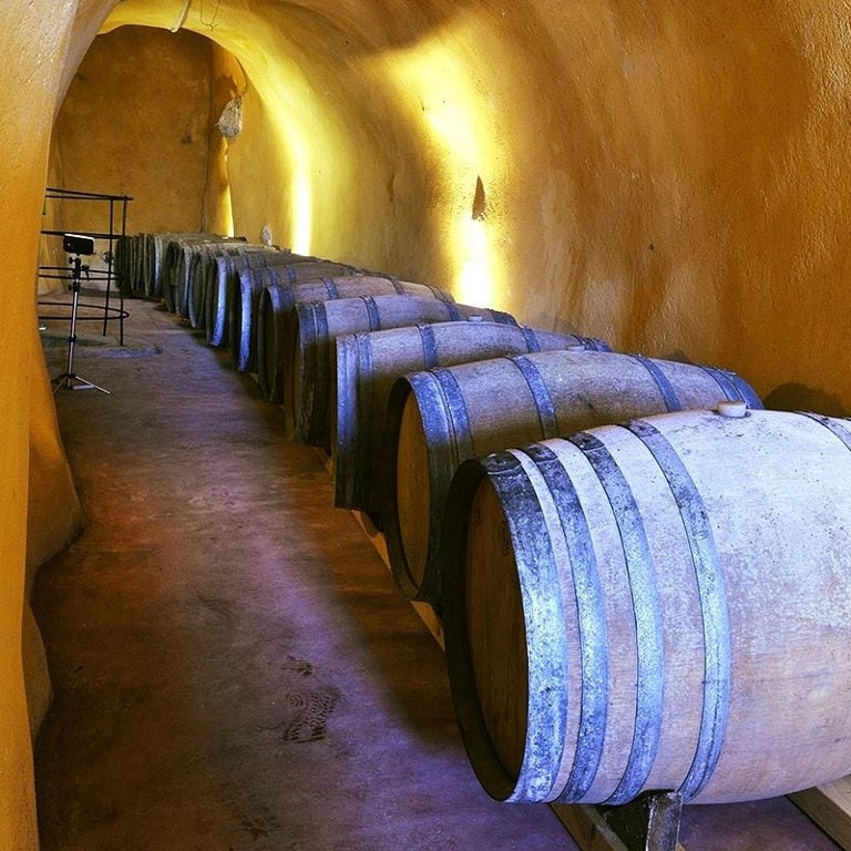 wine wooden barrels in a row at 'Venetsanos Wine Museum'