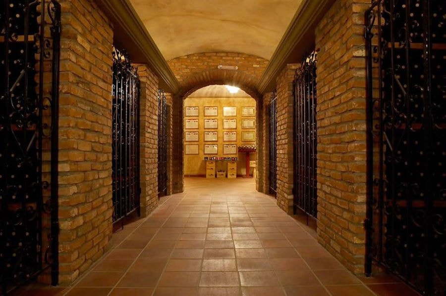 corridor of 'Wine Art Estate' with iron nettings on the both sides