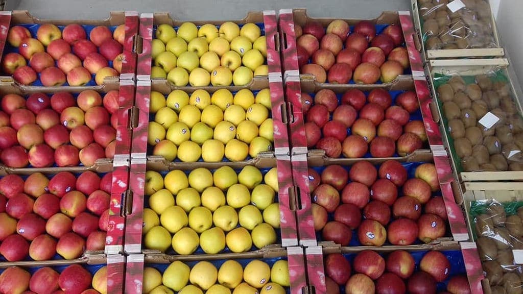 crates with red and white apples at ‘Zagorin’ recognized with many awards|