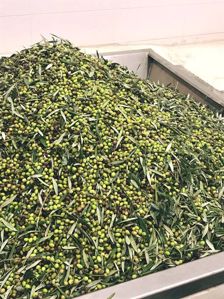 green olives in metallic form at Blackbird Natural Treasures
