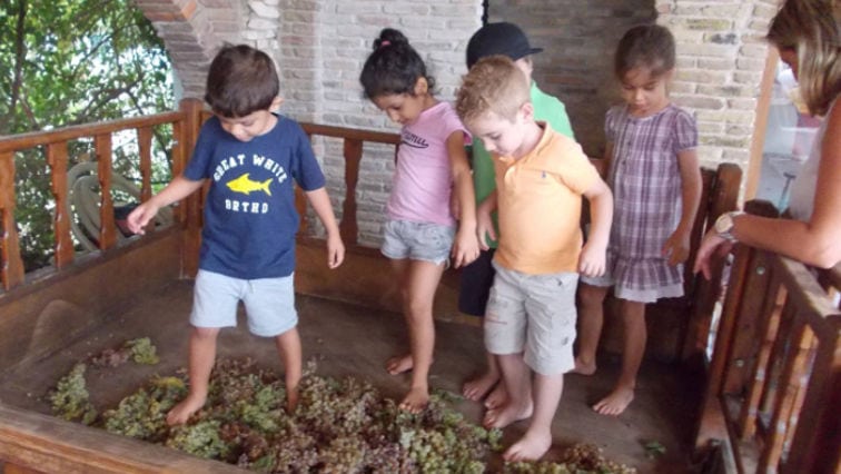 children crushing grapes by stepping barefoot on the grapes inside wood vat at Zahaios winery